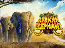 African Elephant™