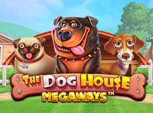 The Dog House Megaways