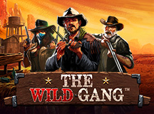 The Wild Gang™